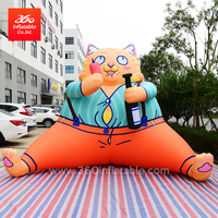 Inflatable Pig Cat Cartoon Mascot Inflatables Advertising 