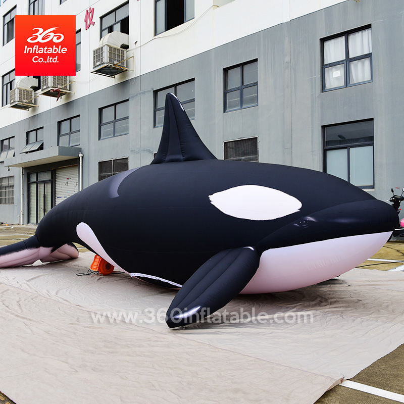 Inflatable Whale Cartoon Mascot Custom